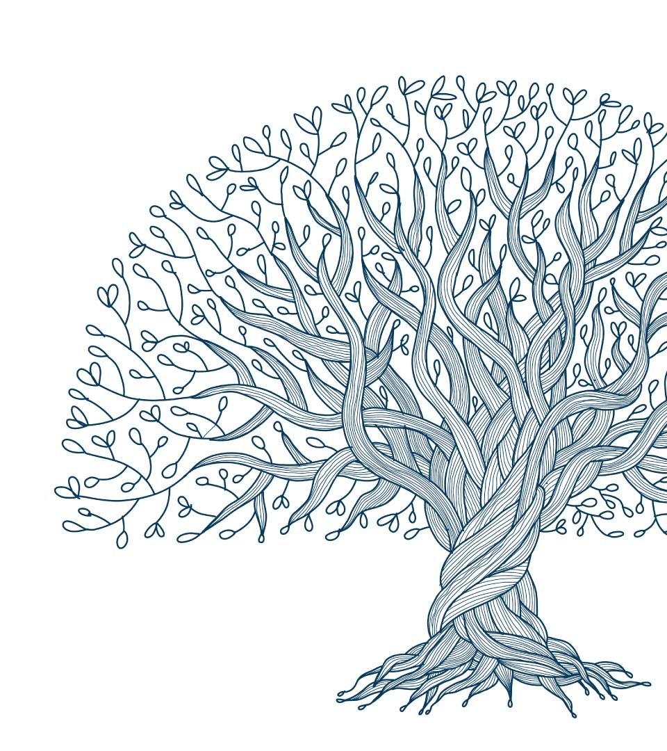 Detailed line-drawing of the tree from the cover of the book Rooted in Decency