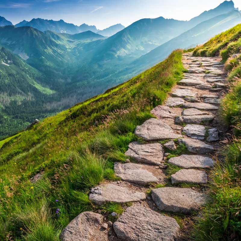 Rocky path on a hillside
