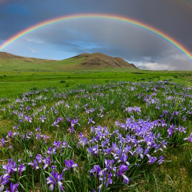rainbow over a mountain as a storm clears