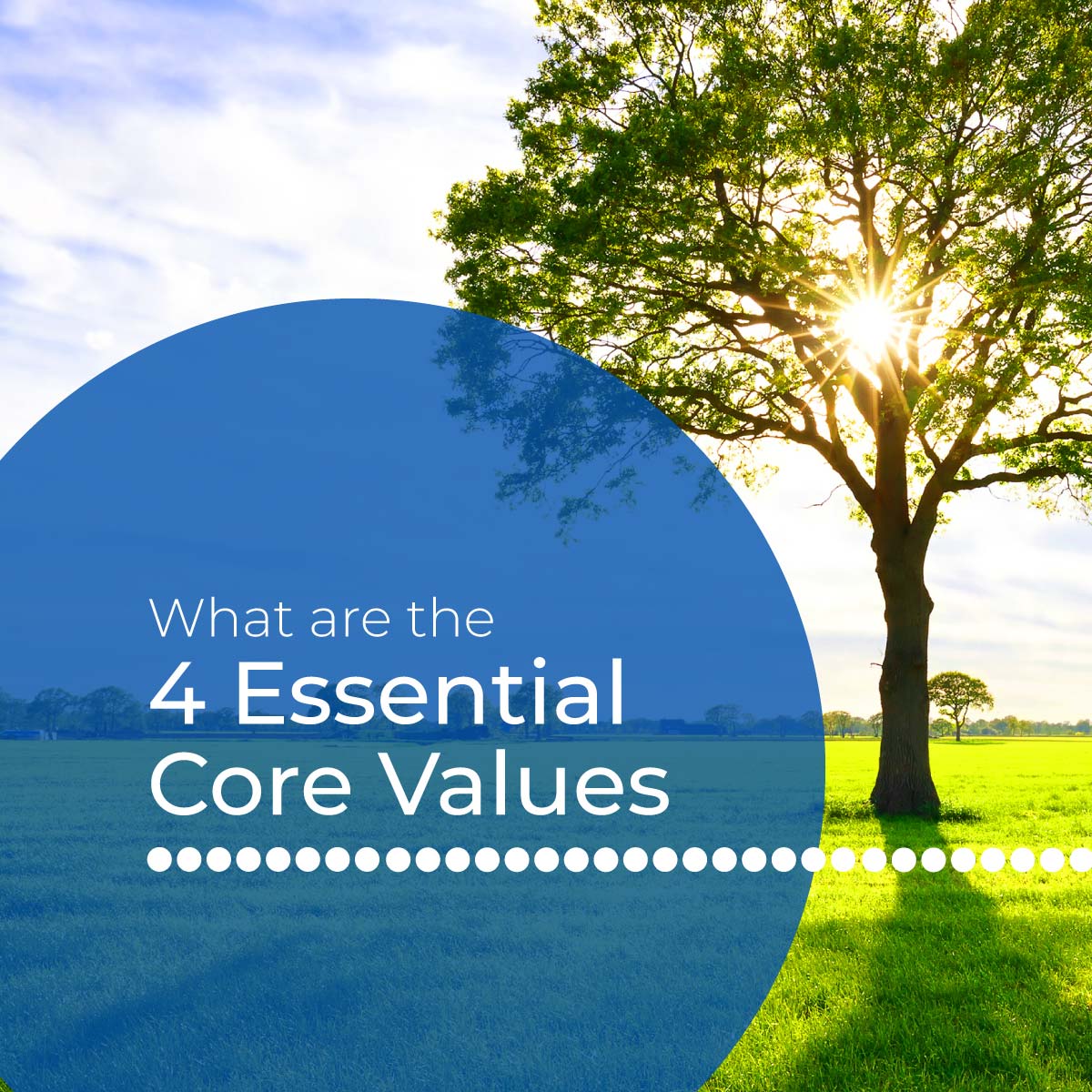 Core Essential Values 